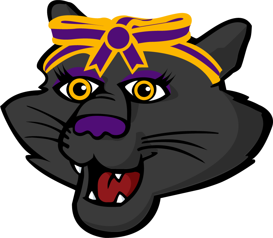 Northern Iowa Panthers 2021-Pres Mascot Logo iron on transfers for T-shirts